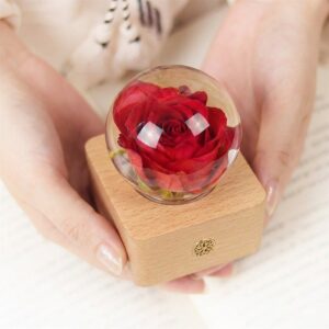 Eternal rose lamp main product shot with a real preserved red rose inside a crystal clear resin sphere on a wooden LED base