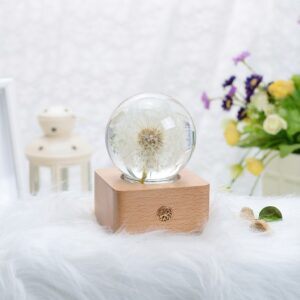 Dandelion lamp lifestyle scene with preserved dandelion in crystal clear resin sphere on white background