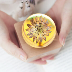 Astrantia preserved flower lamp photographed in bright natural daylight with star-like blooms in a clear resin sphere
