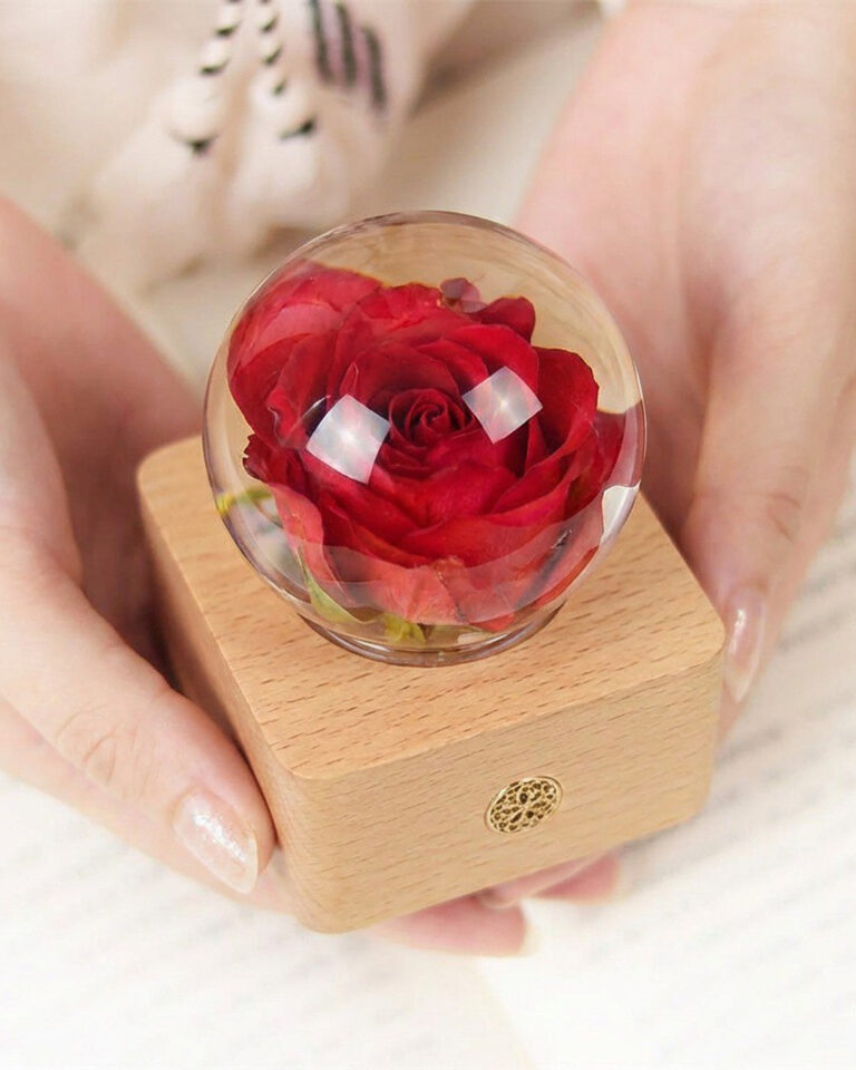 Eternal rose preserved flower lamp photographed for a couple's anniversary