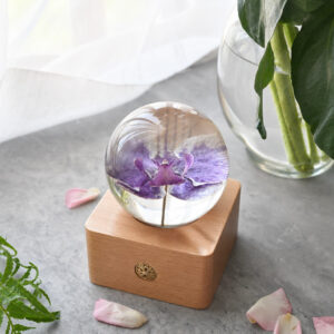 Phalaenopsis orchid preserved flower lamp in a bright home decor scene with clear resin sphere and wooden base