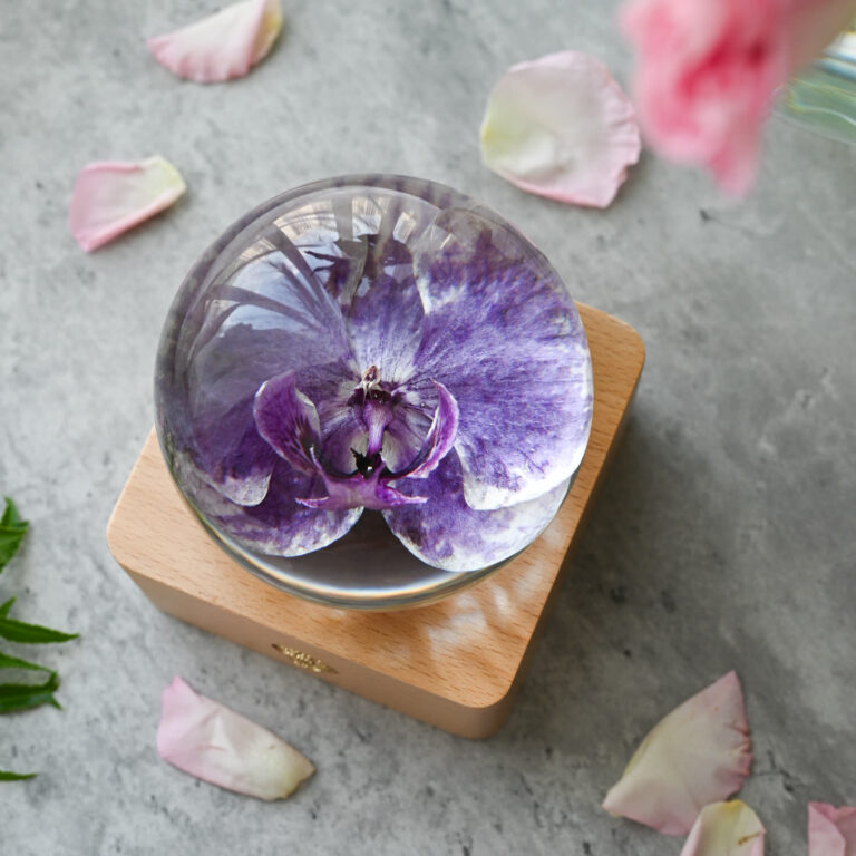Top view of preserved orchid flowers sealed in clear resin