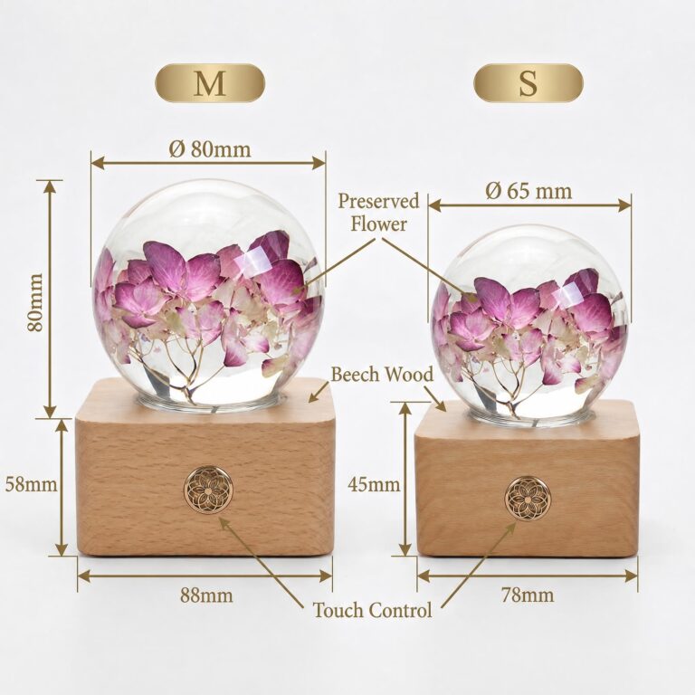 Size chart comparing the Small 65mm and Medium 80mm preserved flower lamp spheres