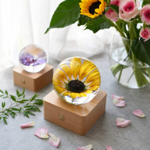 Sunflower preserved flower lamp with bright yellow petals in a clear resin sphere on a beech wood LED base