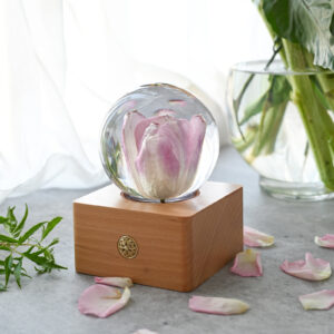 Tulip preserved flower lamp with pink purple tulips in a clear resin sphere on a wooden LED base