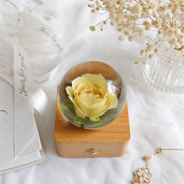 White rose preserved flower lamp presented in its gift box