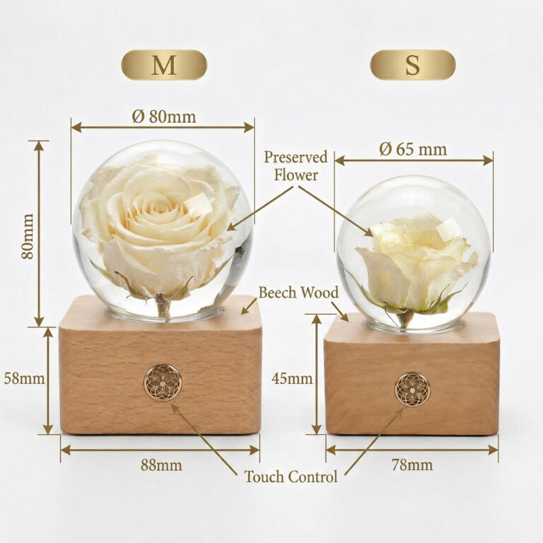 Size chart comparing the Small 65mm and Medium 80mm preserved flower lamp spheres