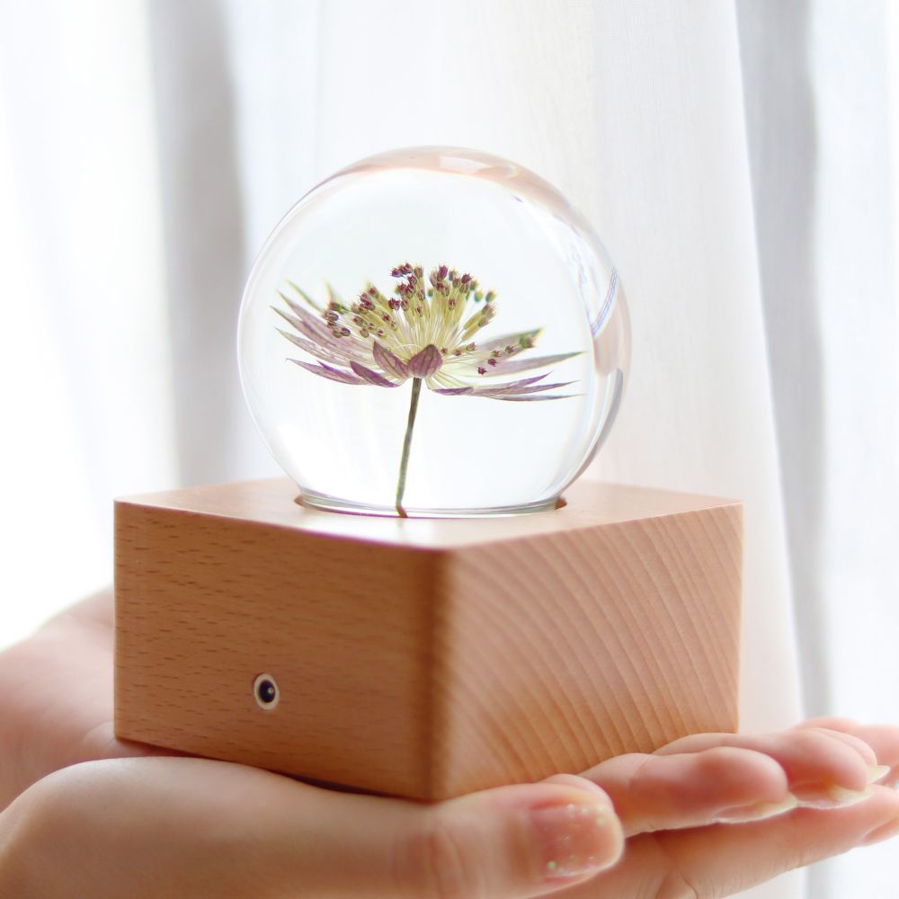 Beech wood base of a preserved flower lamp before engraving